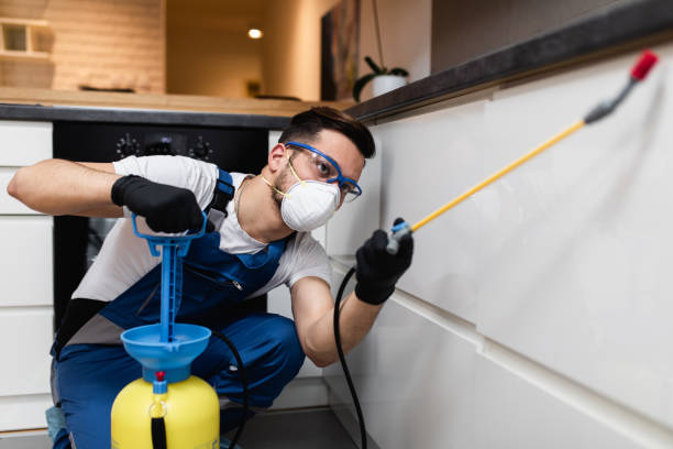 Pest Prevention Services in Elsberry, MO