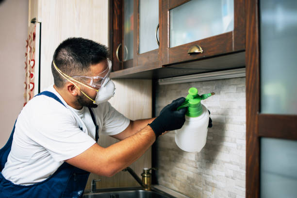 Best Bed Bug Extermination  in Elsberry, MO