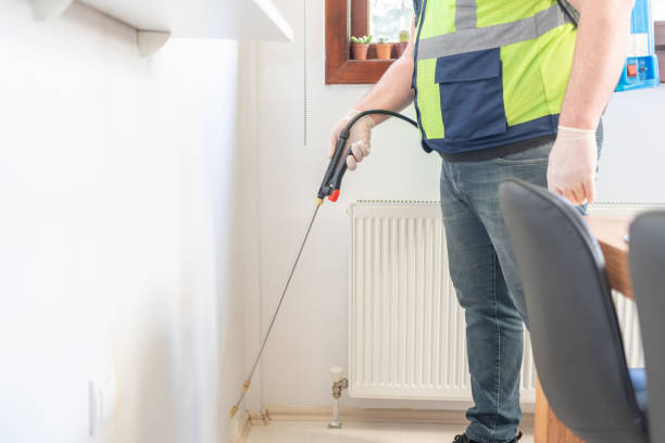 Best Pest Control Near Me in Elsberry, MO