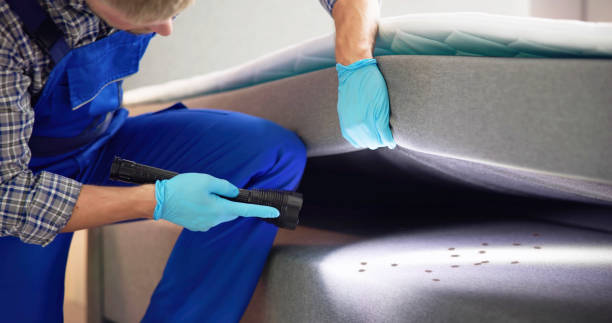 Best Cockroach Control Services  in Elsberry, MO
