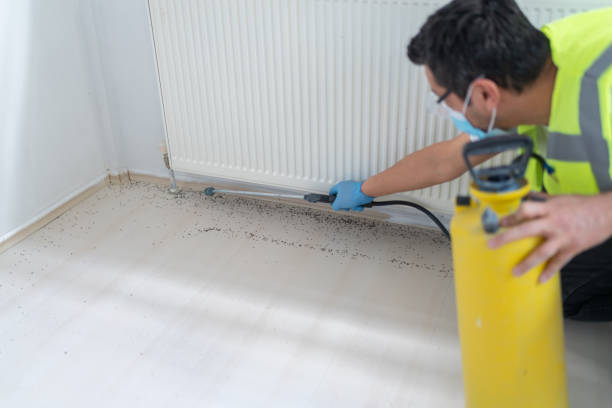 Best Commercial Pest Control Services  in Elsberry, MO