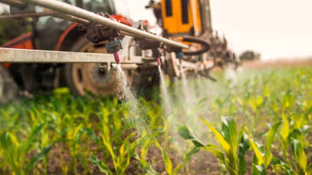 Best Pest Removal Services  in Elsberry, MO